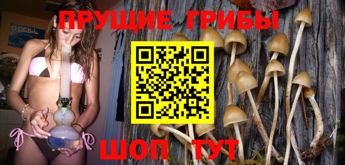Псилоцибиновые грибы прущие грибы Семёнов